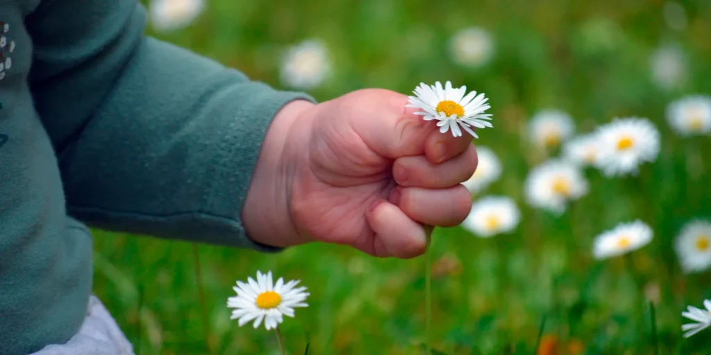 Kinderwillkommensfeiern